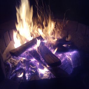 Meet your Posher, Ray